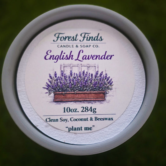 English Lavender